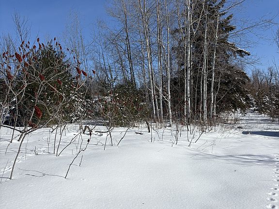 4th image of 5 Pollock Rd