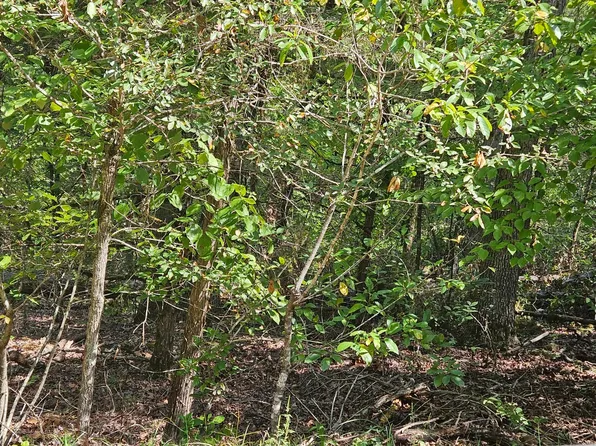 52 Kirkwood, Theodosia, MO 65761