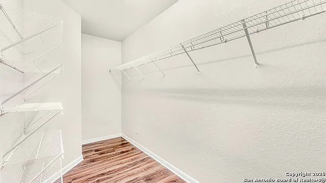 7951 Brinson Ct — Photo 16