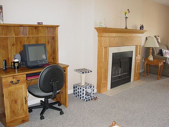 gas fireplace in fam rm