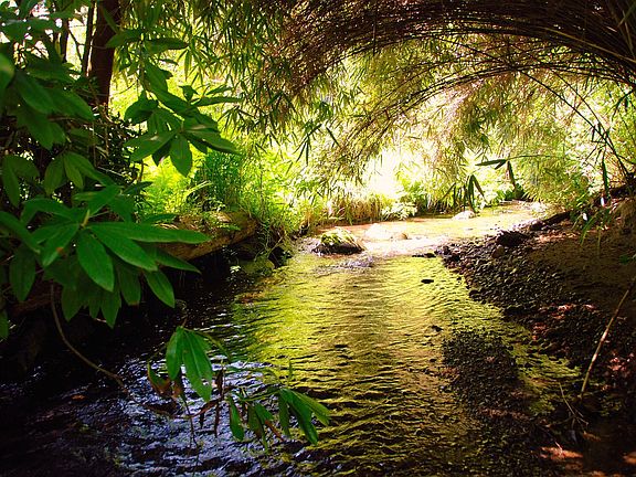 Thornton Creek photo taken from in front of house