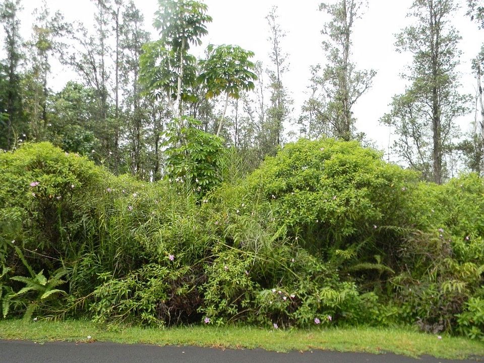 1st image of Lilikoi Dr Lot 38