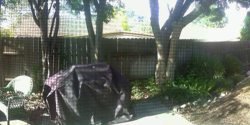 Back of House
