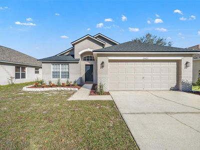 24425 Summer Wind Ct, Lutz, FL, 33559