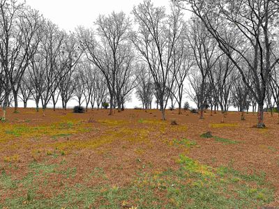 LOT 2 State Highway 68, Jackson, LA, 70748