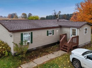 11329 Anderson Rd, Bear Lake, MI 49614