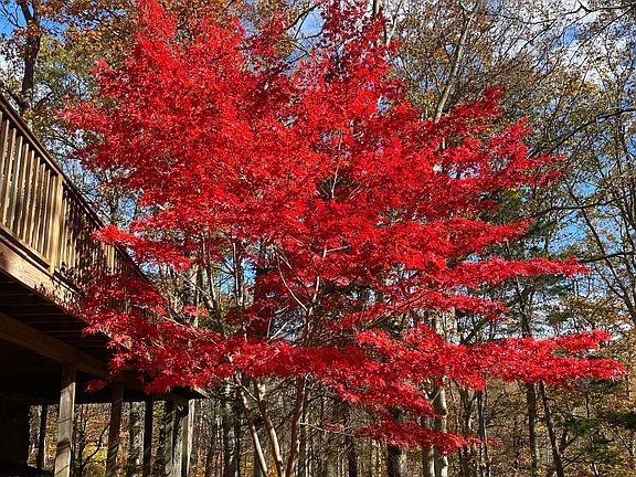 3rd image of 134 Delaware Road