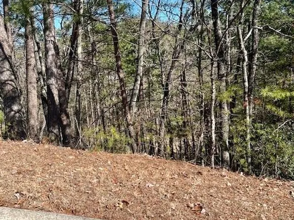 0 Rosen Strasse #143, Helen, GA 30545