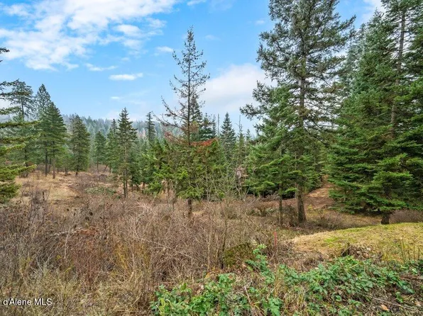 1604 S Saddleback Dr, Coeur D Alene, ID 83814