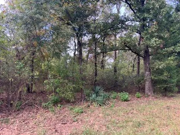 Daniel Boone Ln, Malakoff, TX 75148