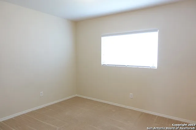 3918 Texas Hawthorn — Photo 13