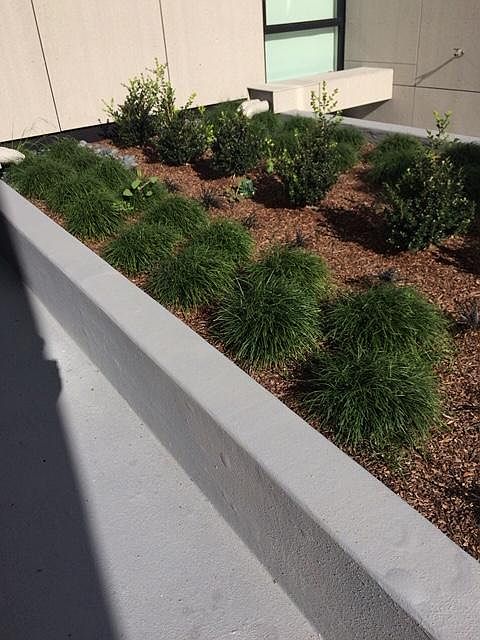 1st image of 1515 15th St APT 209