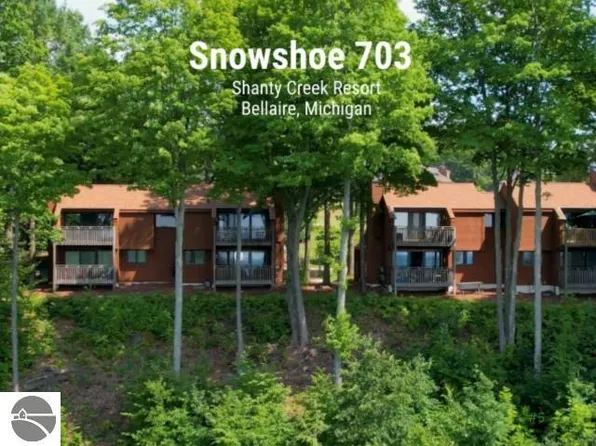 4826 N Cross Over Dr #703, Bellaire, MI 49615
