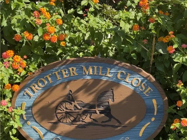 10 Trotter Mill Close #10, Ashland, VA 23005