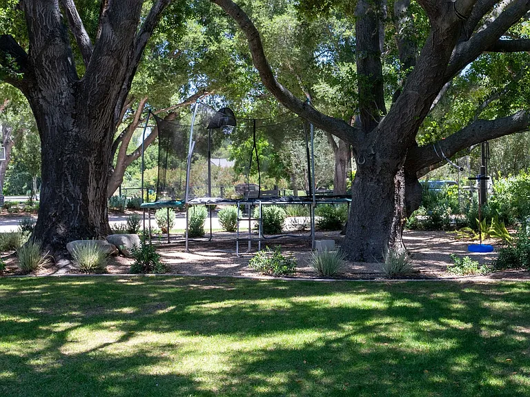 Deer Trail Pl — Photo 29
