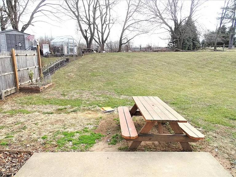 Patio & Back Yard
