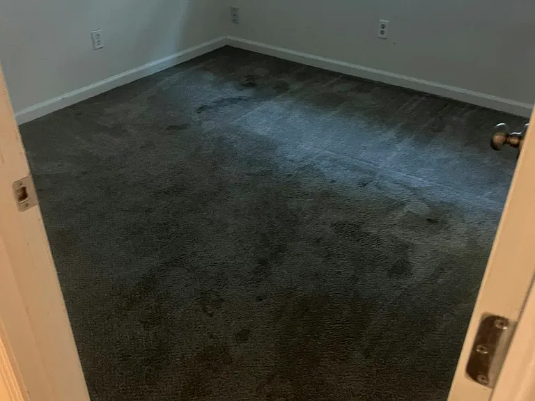 3437 Viking Dr — Photo 10