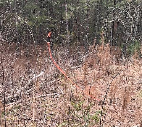 2nd image of 0 Highway 64