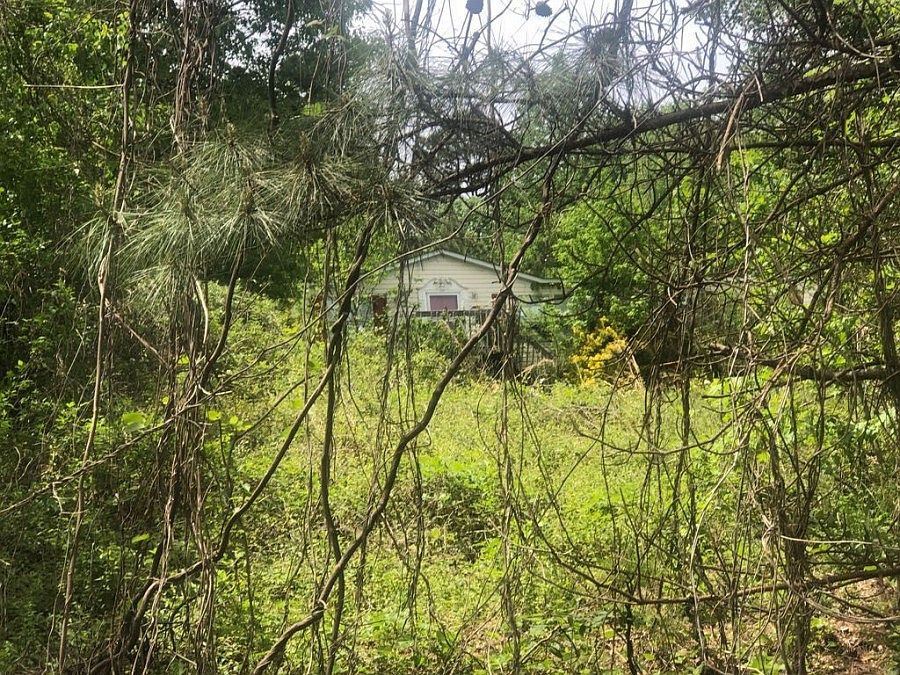 1st image of 120 Homes Pond Ln