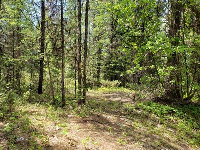Nhn Butcher Creek Rd, Trego, MT, 59934