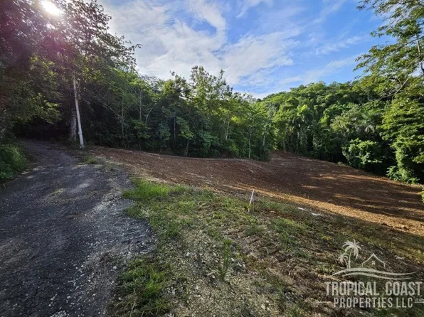Bo Victoria, Aguadilla, PR 00603