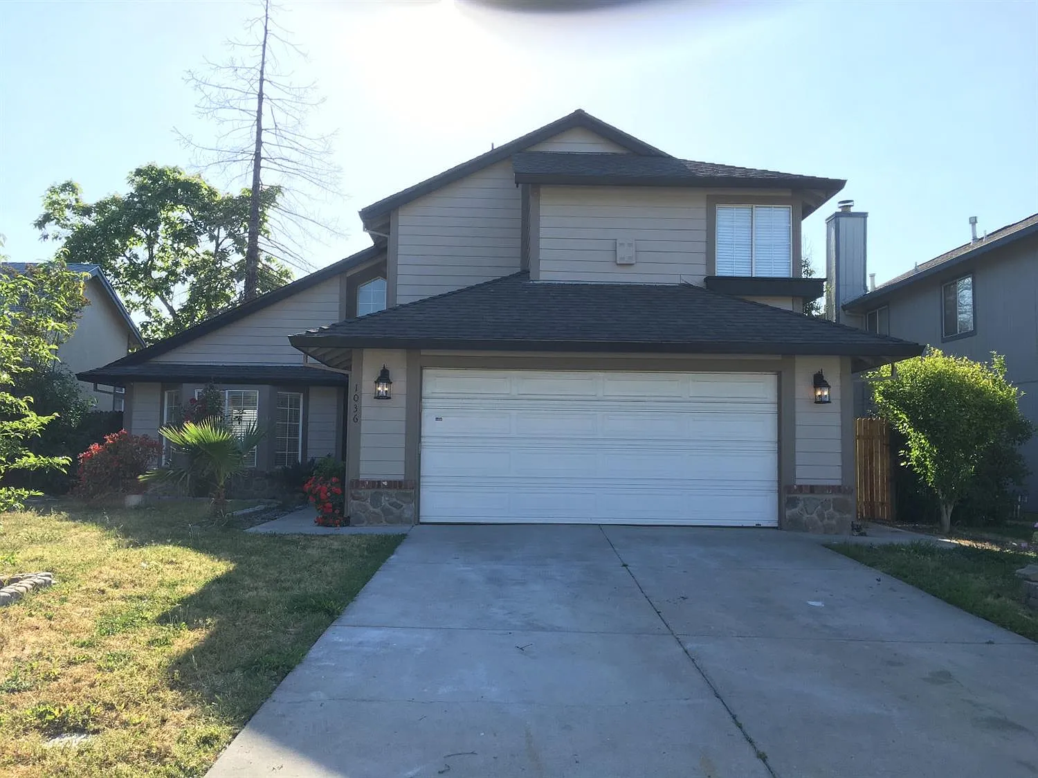 1036 Andy Cir photo 1