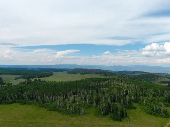 Alpine Plateau Rd, Cimarron, CO 81220