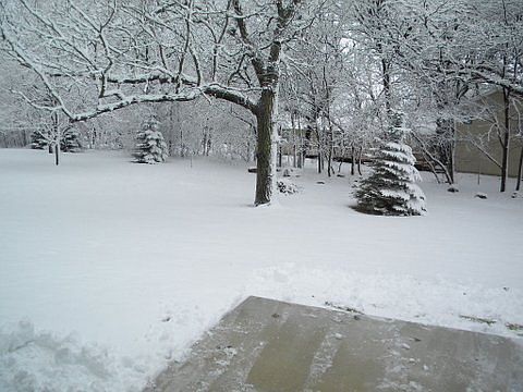 2nd image of 25822 168th St