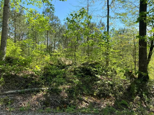 0 County Road 820, Cullman, AL 35057