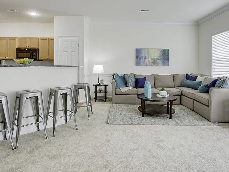Dodson Court - Twin Homes — Photo 40