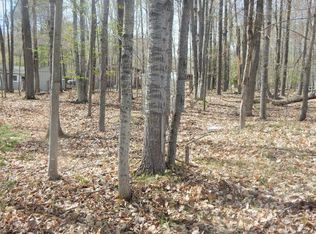 Lots 12 13 & 14 Norway Rd, Lincoln, MI 48742