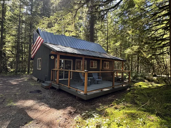 Cabin 61 Northwoods, Cougar, WA 98616