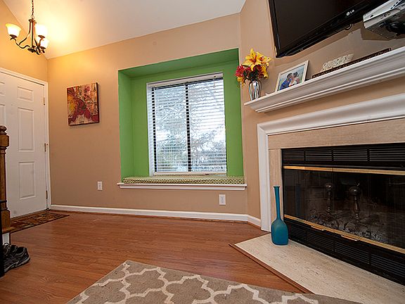 wood burning fireplace