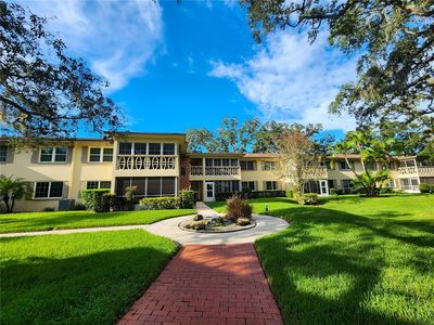 1515 Bayshore Blvd APT 12, Dunedin, FL, 34698