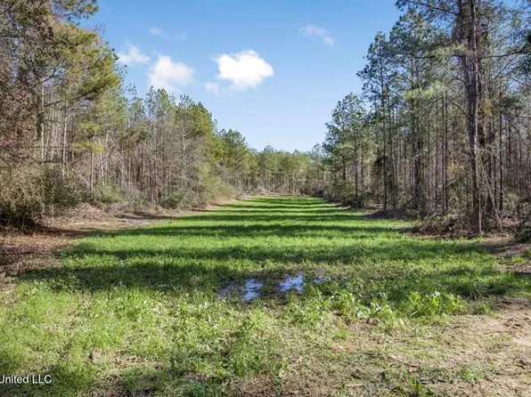 156 Williamson Mill Rd #L, Prentiss, MS 39474