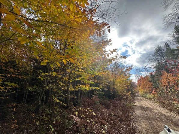 0 Pinewood Rd, Newberry, MI 49868