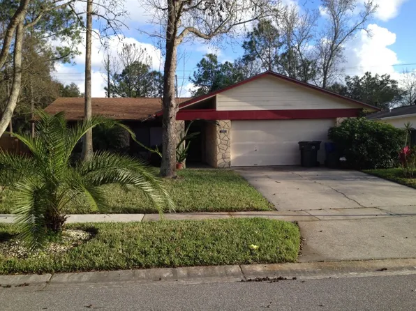 4222 Briarberry Ln, Tampa, FL 33624