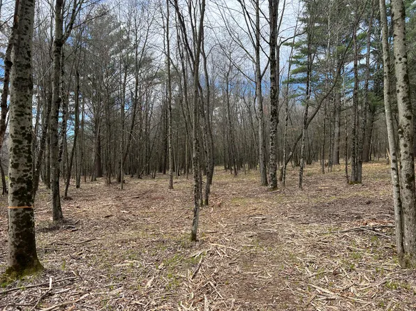 S Cottonwood Ave, Newaygo, MI 49337