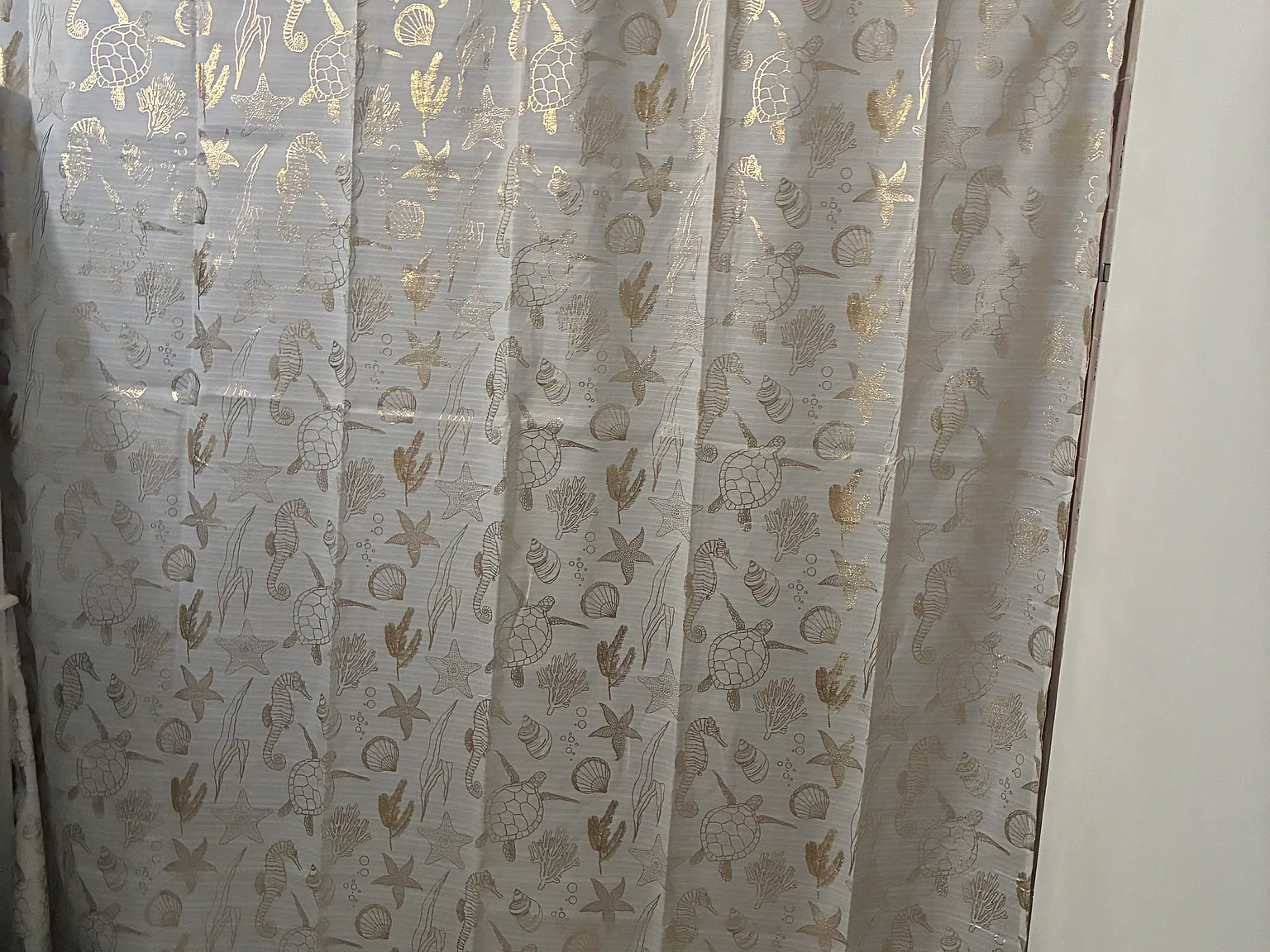 3 bed, 1970 sqft, $750 — Photo 3