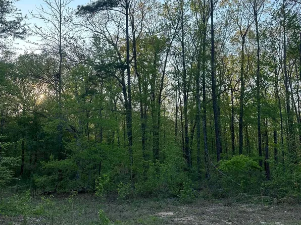 3923 Adelia Ln, Traskwood, AR 72167