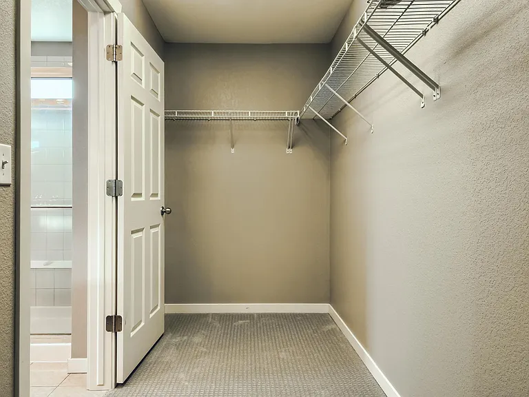 11554 Yellow Daisy Dr — Photo 10