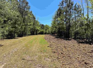 1 Santee Rd, Andrews, SC 29510