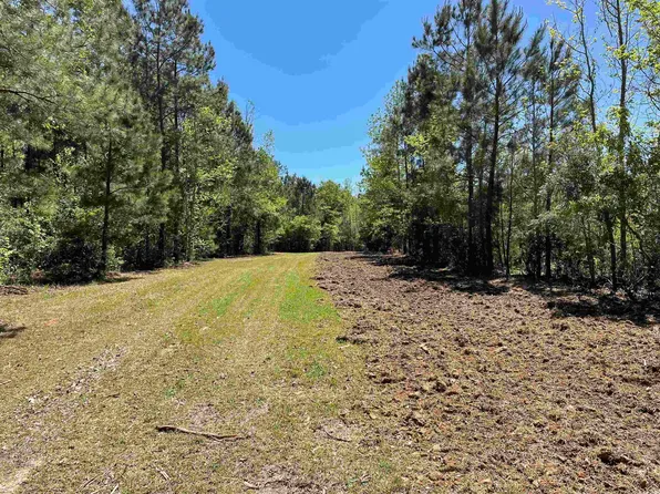 TBD 1 Santee Rd. #Suttons, Andrews, SC 29510