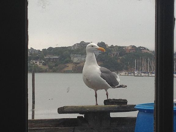 one of the neighbors