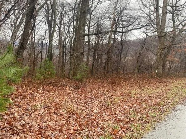 Lot #7 Tom's Knob, Sparta, NC 28675