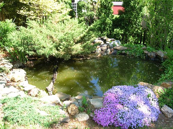 The larger of the two Fish Ponds!