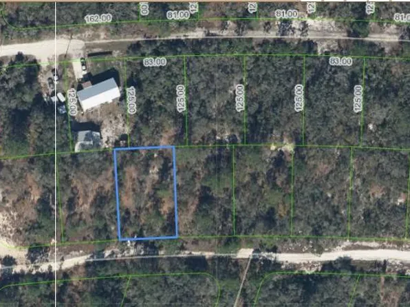 308 Hossler Ave, Lake Placid, FL 33852