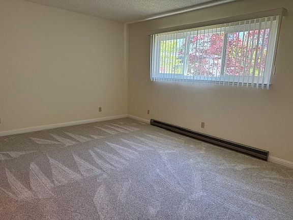 Master bedroom with new carpet