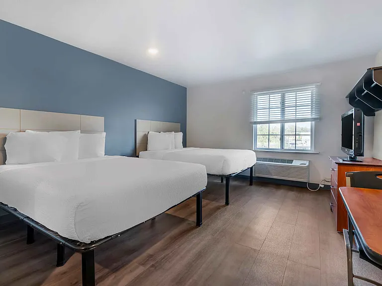Studio Suite - 2 Queen Beds