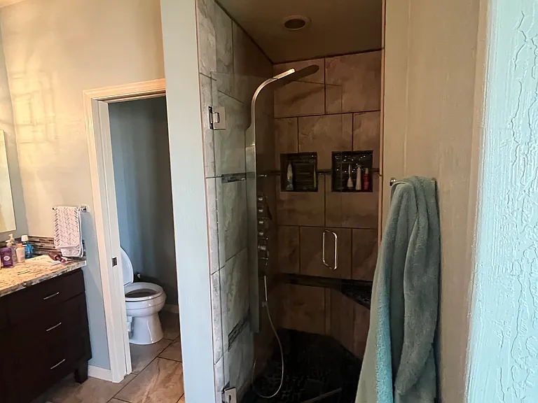 Master Bathroom shower/Separate toilet